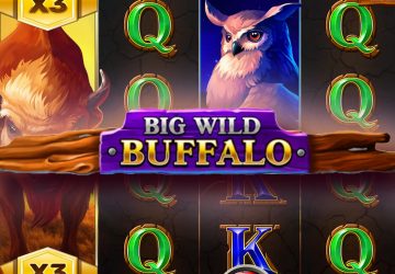 Игровой автомат Big Wild Buffalo в МелБет казино