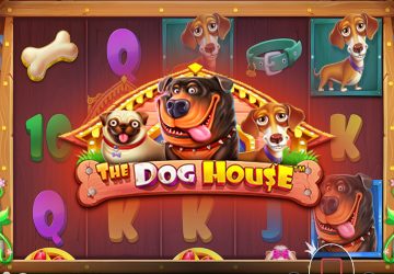 Игровой автомат The Dog House в МелБет казино